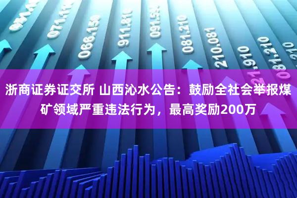 浙商证券证交所 山西沁水公告：鼓励全社会举报煤矿领域严重违法行为，最高奖励200万